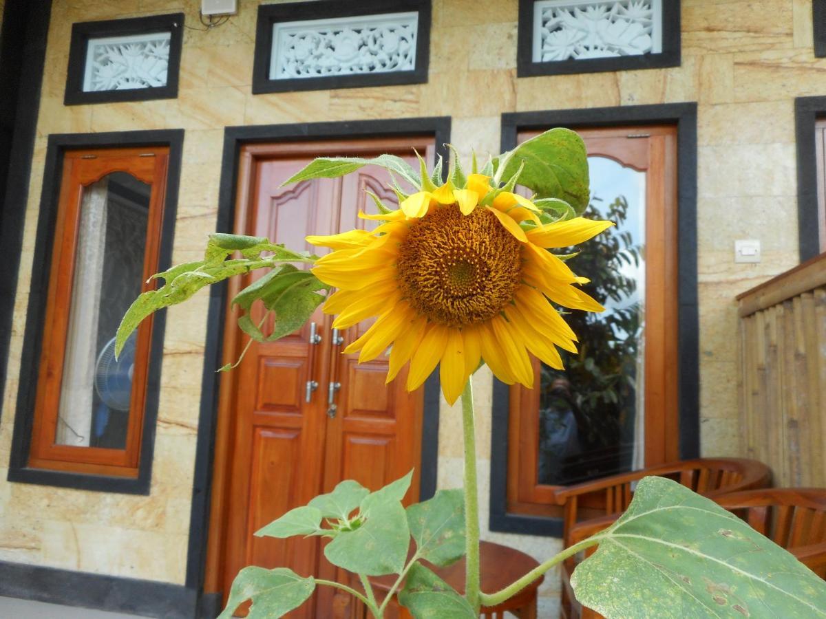 Ming Homestay Сідемен Екстер'єр фото